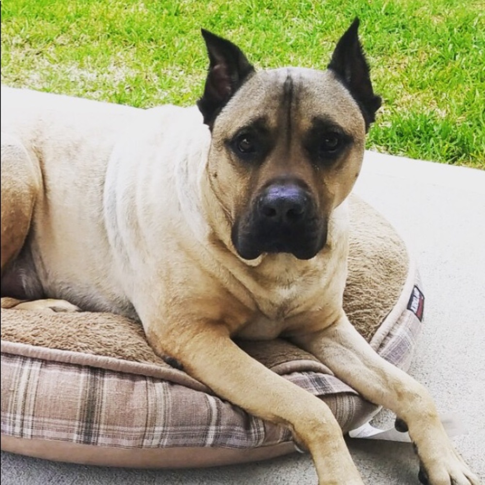 Meet your Posher, Madison